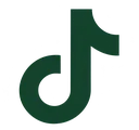 TikTok icon