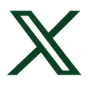 X icon